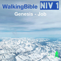 WalkingBible Niv 1 Genesis - Job