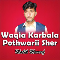 Waqia Karbala Pothwarii Sher