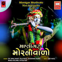 Manigar Murlivado - Non Stop Garba