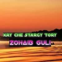 Kry Che Stargy Tory