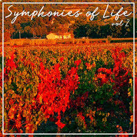 Symphonies Of Life, Vol. 2