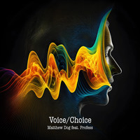 Voice / Choice