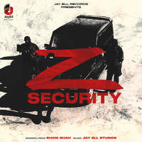 Z Security