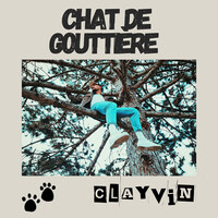 Chat de gouttière