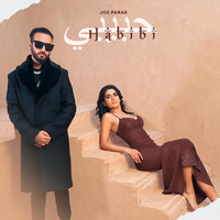 Habibi Song Download: Habibi MP3 Punjabi Song Online Free on Gaana.com