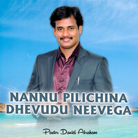 Nannu Pilichina Dhevudu Neevega