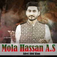 Mola Hassan A.S