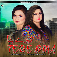 Tere Bina (Sana & Suneha Sisters)