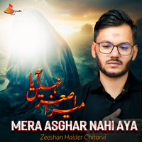 Mera Asghar Nahi Aya