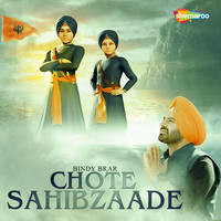 Chote Sahibzaade