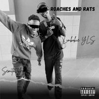 Roaches and Rats