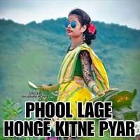 Phool Lage Honge Kitne Pyar