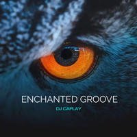 Enchanted Groove