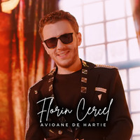 Avioane De Hartie