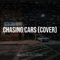 Chasing Cars (Cover)