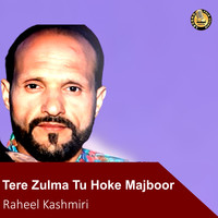 Tere Zulma Tu Hoke Majboor