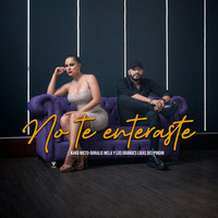 No Te Enteraste