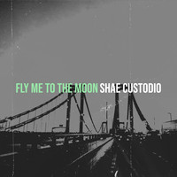 Fly Me to the Moon