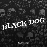 Black Dog