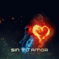 Sin Tu Amor