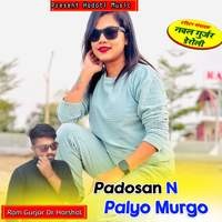 Padosan N Palyo Murgo