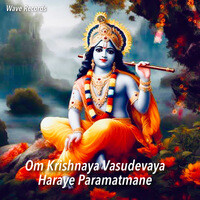 Om Krishnaya Vasudevaya Haraye Paramatmane