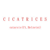 Cicatrices