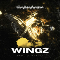 Wingz