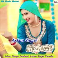 Aslam Singer SR 2400