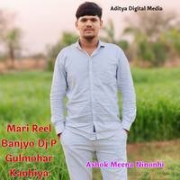 Mari Reel Banjyo Dj P Gulmohar Kanhiya