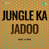 Chandni Raat Mein Jane Kya Baat Re (From "Jungle Ka Jadoo")