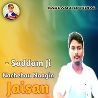 Nachebau Naagin Jaisan