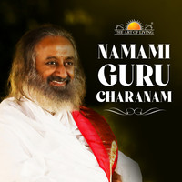 Namami Guru Charanam