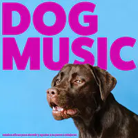Dog Music: Música Eficaz Para Dormir Y Ayudar a Su Perro a Relajarse