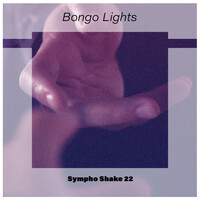 Bongo Lights Sympho Shake 22