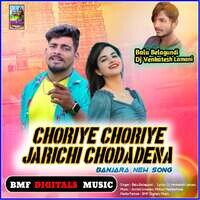 Choriye Choriye Jarichi Chodadena Banjara New Song