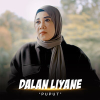 Dalan Liyane