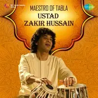 Maestro of Tabla - Ustad Zakir Hussain