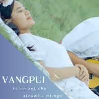 VANGPUI