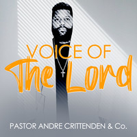 Voice of the Lord