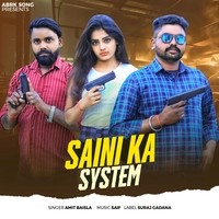 Saini Ka System