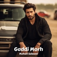 Gaddi Morh