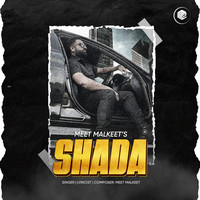 new punjabi song shada sultan download mp3