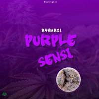 Purple Sensi