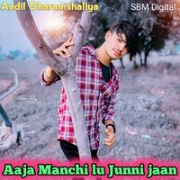 Aaja manchi lu Junni jaan