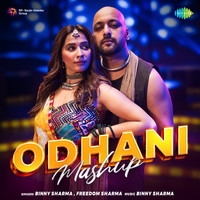 Odhani Mashup