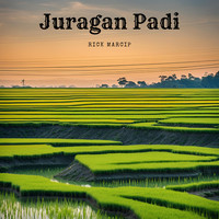 Juragan Padi