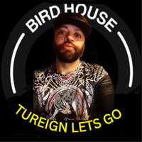 Lets Go (Birdhouse)