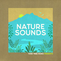 Tone Tree Music Presents: Nature Sounds