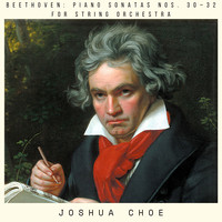 Beethoven: Piano Sonatas Nos. 30–32 for String Orchestra